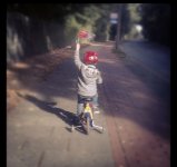 ein Bild aus dem Album