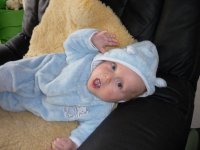 ein Bild aus dem Album